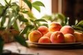 Fresh peaches in a plate on the table Royalty Free Stock Photo