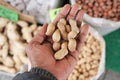 Fresh peanuts in hand at local market Royalty Free Stock Photo