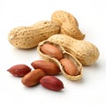 Fresh peanuts isolated on transparent background Royalty Free Stock Photo