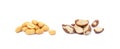 Fresh peanuts and para nuts Royalty Free Stock Photo