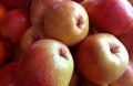 Fresh pear fruit Royalty Free Stock Photo