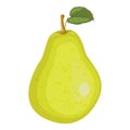 Fresh pear icon illustration. Green pear icon. Royalty Free Stock Photo