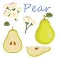 Fresh pear icon illustration. Green pear icon. Pear icon clipart. Royalty Free Stock Photo