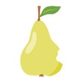 Fresh pear with leaf, nibbled from one side by caterpillar or insect, vector