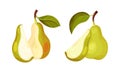 Fresh pear set. Whole and cut in half organic fruit vector illustration