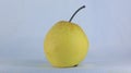 Fresh pear on the white background, closeup of yellow fruit, front view, juice