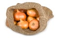 Fresh pearl onions in a burlap sack