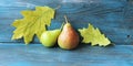 Fresh pears, autumn leaves on a wooden table, organic fruits Royalty Free Stock Photo