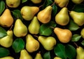 Fresh pears background, top view Royalty Free Stock Photo