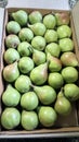 Fresh pears  boxes packings shimla Royalty Free Stock Photo