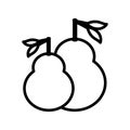 fresh pears fruit isolated icon