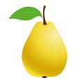 Fresh Pears. Fruit pear on a white background. Vector illustration