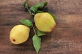 Fresh pears with leaves on a wooden table. Wooden background with yellow fruits. Autumn still life. Royalty Free Stock Photo