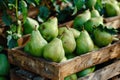 Fresh pears in a rustic wooden crate at a farmers market Royalty Free Stock Photo