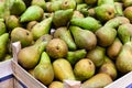 Fresh pears in wooden boxes Royalty Free Stock Photo