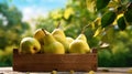 Fresh pears in wooden crate on table and blurred organic farm on the background, space for display product. Generative AI Royalty Free Stock Photo