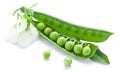Fresh peas are contained within a pod. Royalty Free Stock Photo
