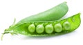 Fresh peas are contained within a pod. Royalty Free Stock Photo