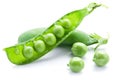 Fresh peas are contained within a pod. Royalty Free Stock Photo