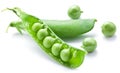 Fresh peas are contained within a pod. Royalty Free Stock Photo