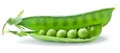 Fresh peas are contained within a pod. Royalty Free Stock Photo