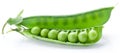 Fresh peas are contained within a pod. Royalty Free Stock Photo
