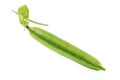 Fresh peas Royalty Free Stock Photo