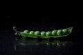 Fresh peas in a pea pod on  a black  background with it`s reflection, close up Royalty Free Stock Photo