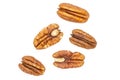 Fresh pecan nut isolated on white Royalty Free Stock Photo