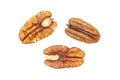 Fresh pecan nut isolated on white Royalty Free Stock Photo