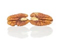 Fresh pecan nut isolated on white Royalty Free Stock Photo