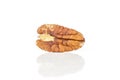 Fresh pecan nut isolated on white Royalty Free Stock Photo