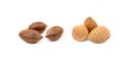 Fresh pecan nuts and almons Royalty Free Stock Photo