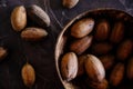 Fresh Pecan Nuts with husks