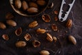 Fresh Pecan Nuts with husks