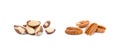 Fresh pecan and para nuts Royalty Free Stock Photo