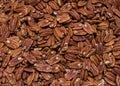 Fresh pecans bulk. pattern Royalty Free Stock Photo