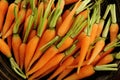 Fresh peeled baby carrots