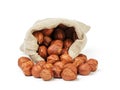 Fresh peeled hazelnuts in sack bag isolated Royalty Free Stock Photo