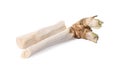 Fresh peeled horseradish roots isolated on white