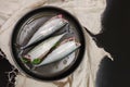 Fresh peeled mackerel in a pan waiting for cooking, marinated fish Royalty Free Stock Photo