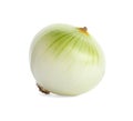 Fresh peeled onion bulb on white