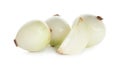 Fresh peeled onion bulbs on white Royalty Free Stock Photo