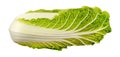 Fresh Peking cabbage on a white background. Vegetables. Leaves of cabbage