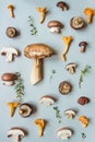 Fresh penny bun mushroom with mixed mushrooms on the blue background, top view