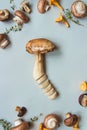 Fresh penny bun mushroom with mixed mushrooms on the blue background, top view