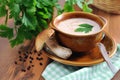 Fresh penny bun mushrooms soup with parsley herb