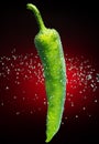 Fresh pepper with bubbles Royalty Free Stock Photo