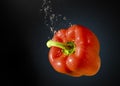Fresh pepper in splashing Royalty Free Stock Photo