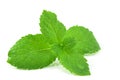 Fresh peppermint leaves